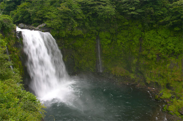 aaa