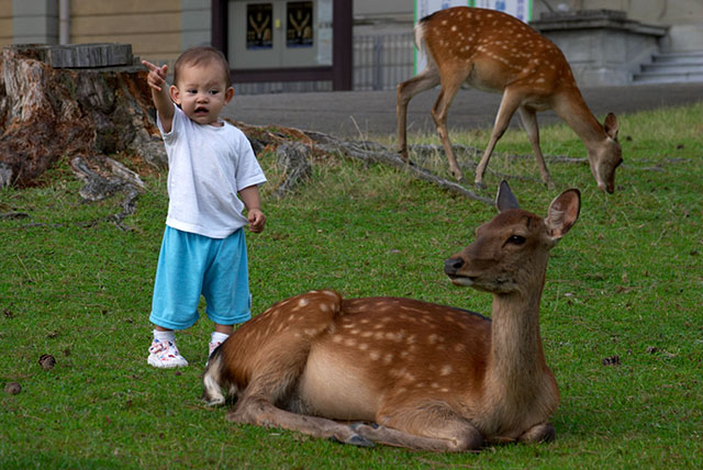 aaw