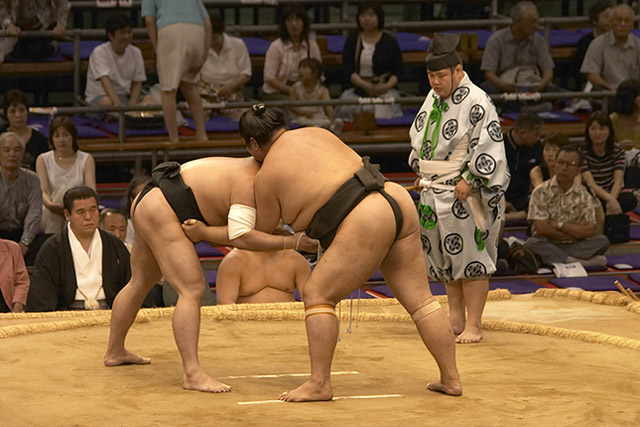 Sumo03
