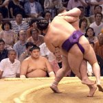 Sumo06
