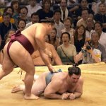 Sumo08