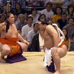 Sumo10