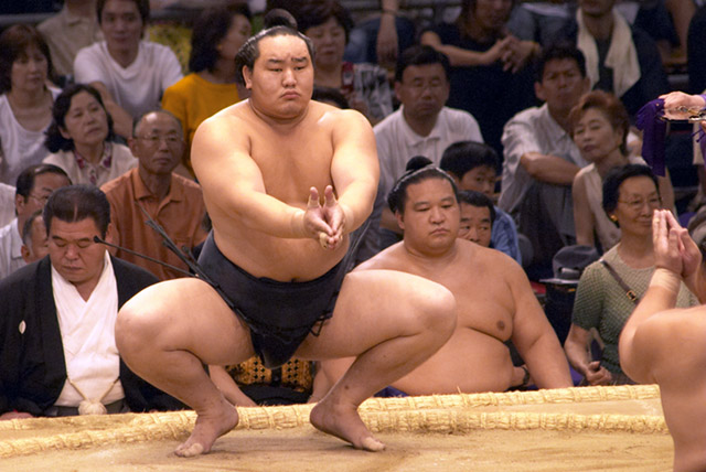 Sumo11