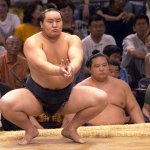 Sumo11