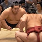 Sumo12
