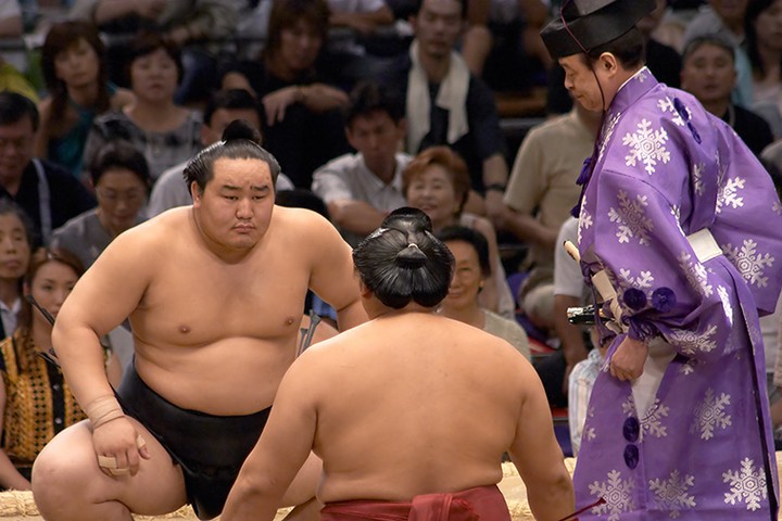 Sumo13