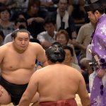 Sumo13