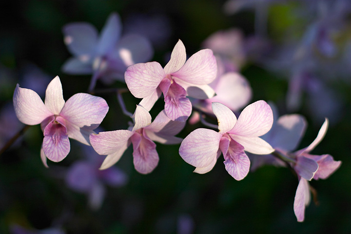 CRW_5697_small