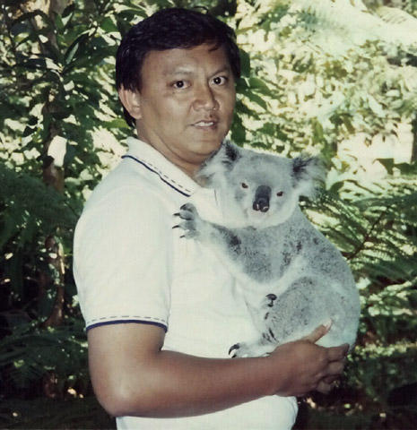 Koala_Bear