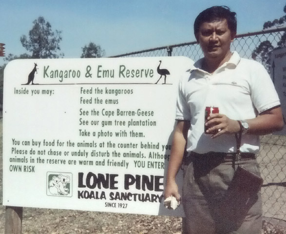 Lone_Pine2