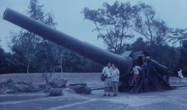 The_Gun