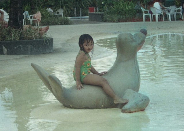 The_Seal