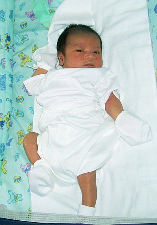vince01