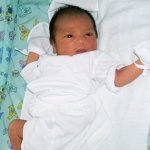 vince04
