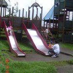DSC06494