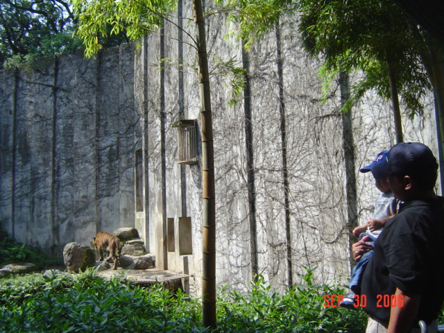 DSC06968