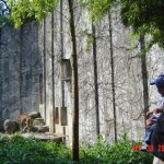 DSC06968