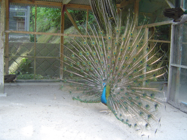 DSC08307