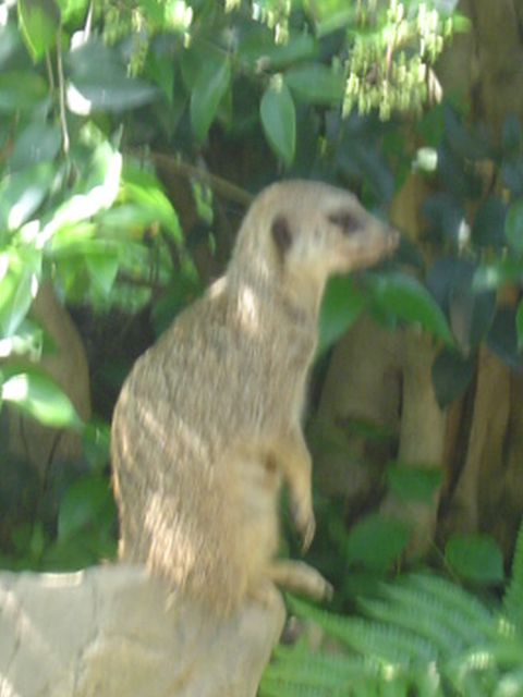 DSC08348