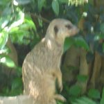 DSC08348