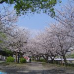 DSC07896