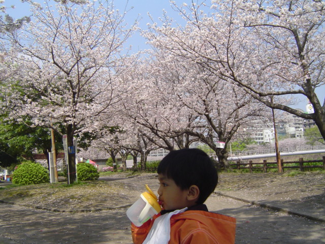 DSC07905