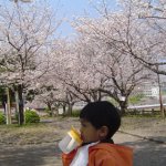 DSC07905