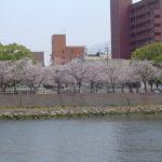 DSC07947
