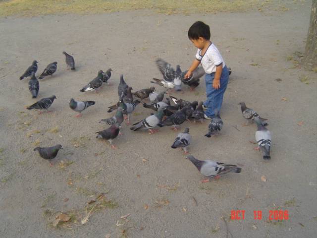 DSC07029