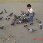 DSC07029