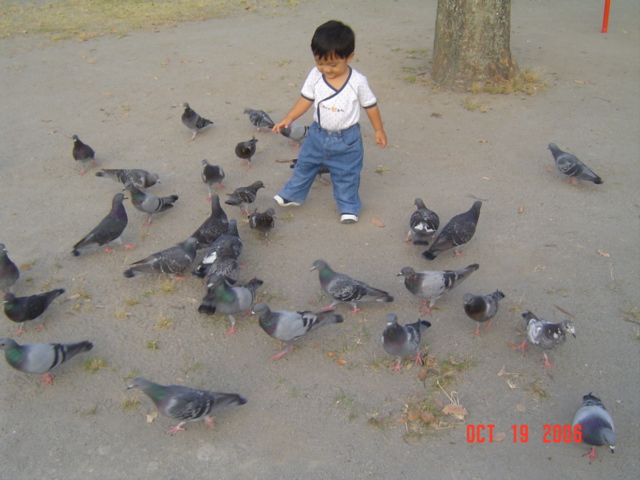 DSC07030