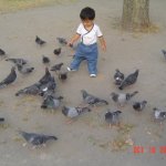 DSC07030