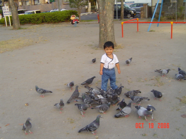 DSC07031