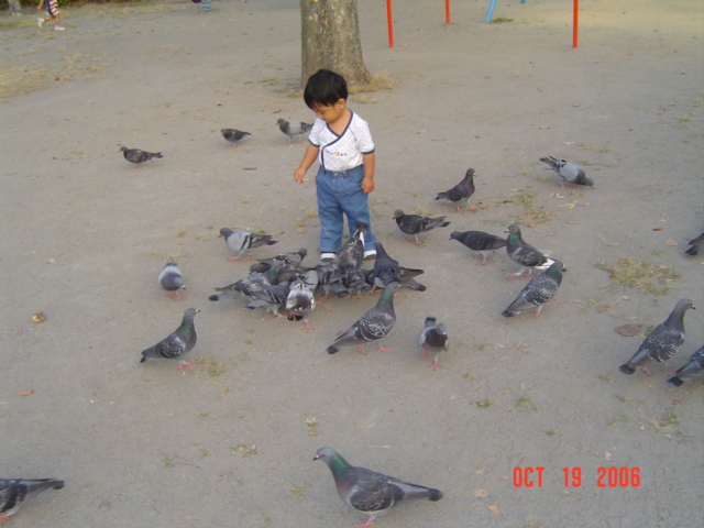 DSC07032