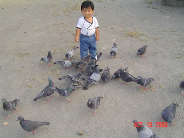 DSC07034