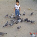 DSC07034
