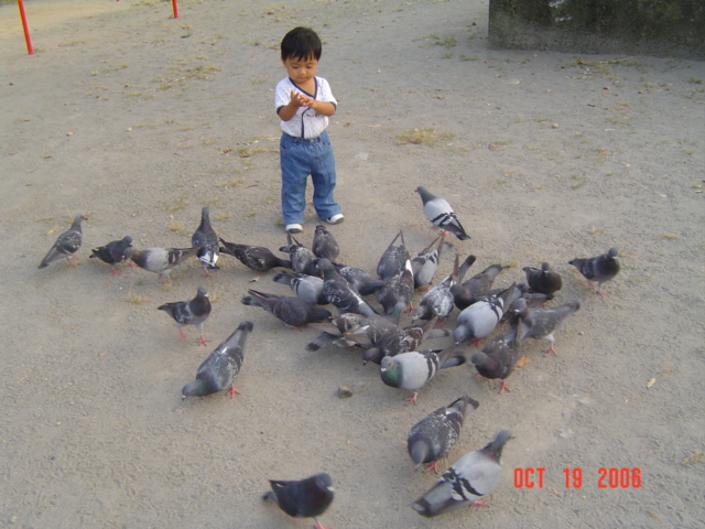 DSC07035