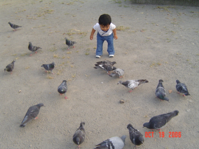 DSC07037