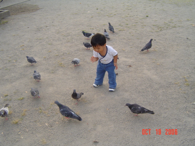 DSC07039