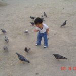 DSC07039