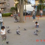 DSC07042