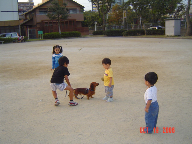 DSC07064