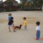 DSC07064