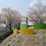 DSC08006