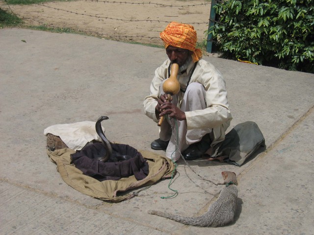 aaj