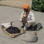 aaj