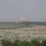 aal