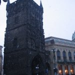 IMG_8987 web
