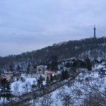 IMG_9063 web