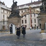 IMG_9048 web